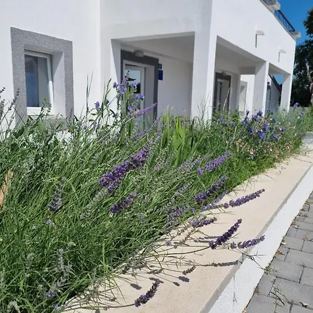 Olana Задар